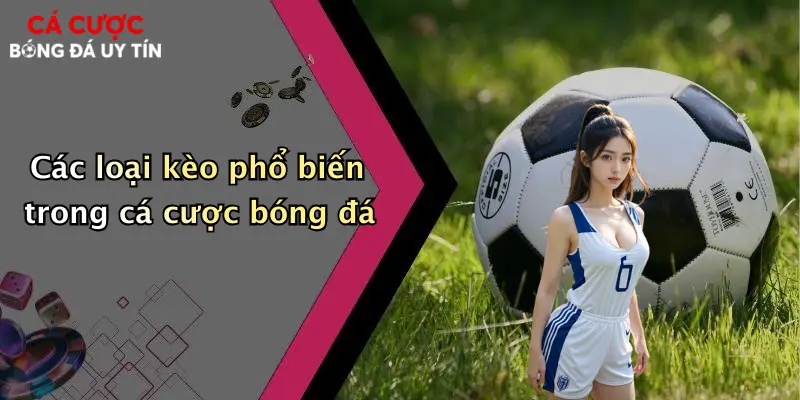 Các loại kèo phổ biến trong cá cược bóng đá