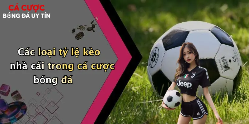 Các loại tỷ lệ kèo nhà cái trong cá cược bóng đá