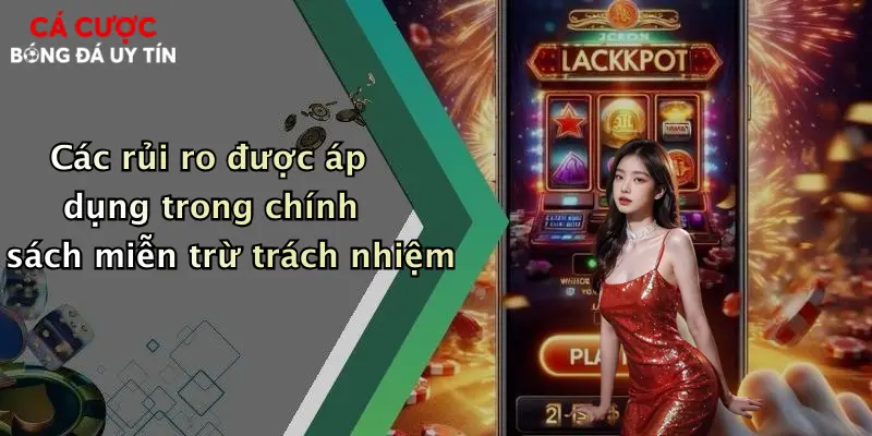 Các rủi ro được áp dụng trong chính sách miễn trừ trách nhiệm