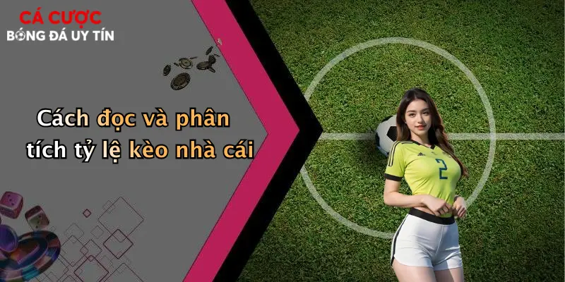 Cách đọc và phân tích tỷ lệ kèo nhà cái