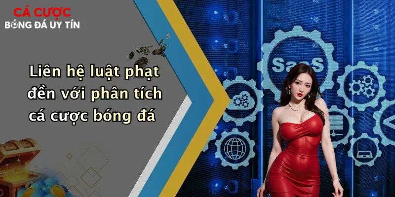 Liên hệ luật phạt đền với phân tích cá cược bóng đá