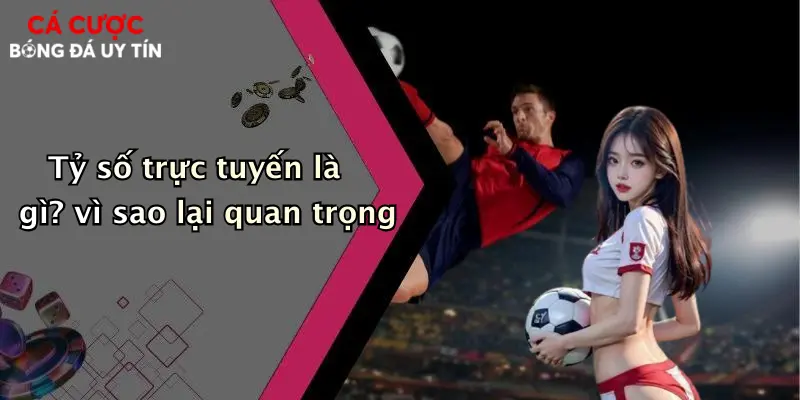 Tỷ số trực tuyến là gì? vì sao lại quan trọng