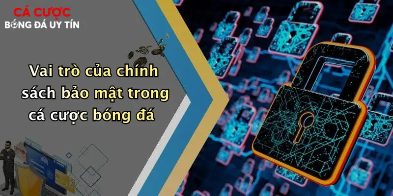 Vai trò của chính sách bảo mật trong cá cược bóng đá