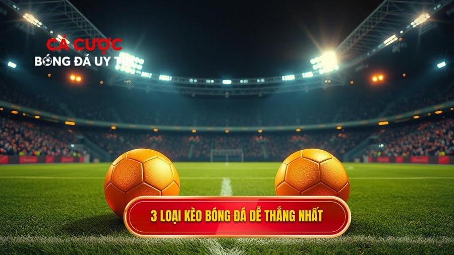Top 3 loại kèo bóng đá dễ thắng nhất cho người mới